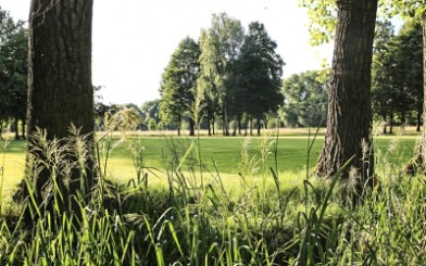 Poděbrady